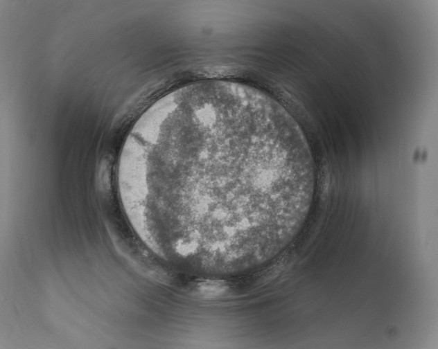 X0000110890214200907301550