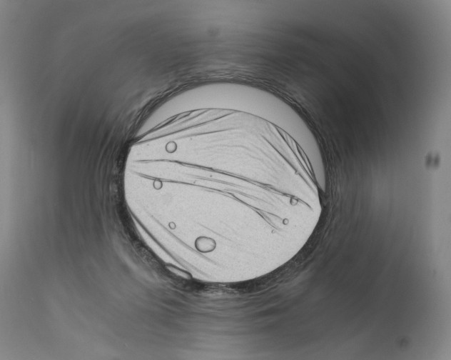 X0000110890215200907301550