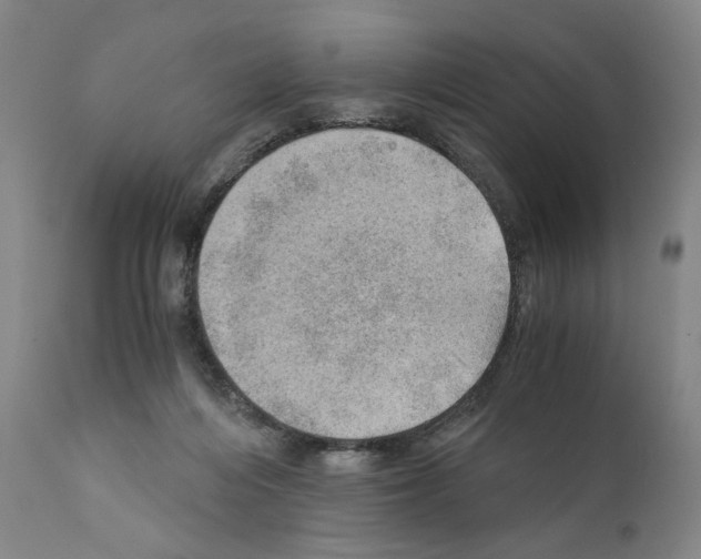 X0000110890216200907301550