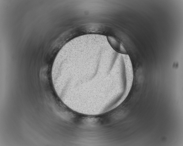X0000110890217200907301550