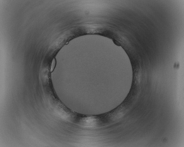 X0000110890219200907301550