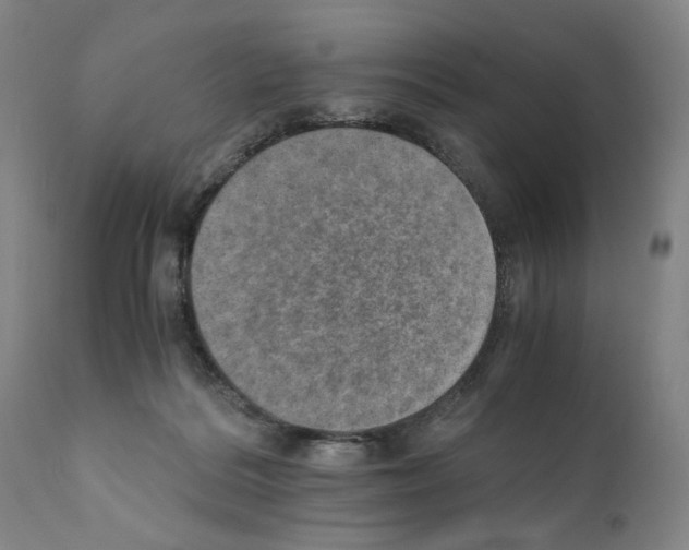 X0000110890220200907301550
