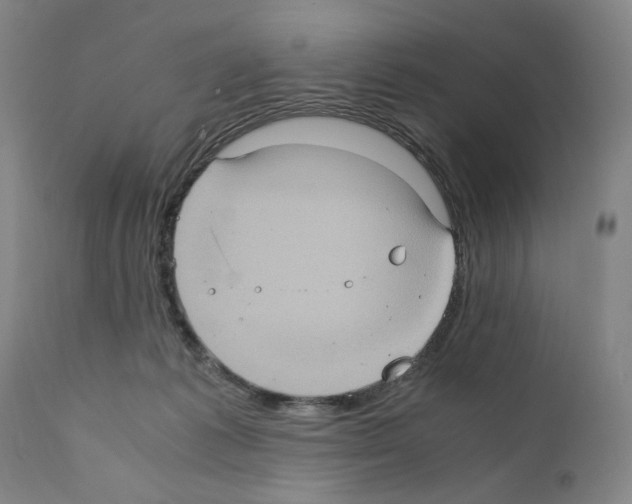 X0000110890221200907301550