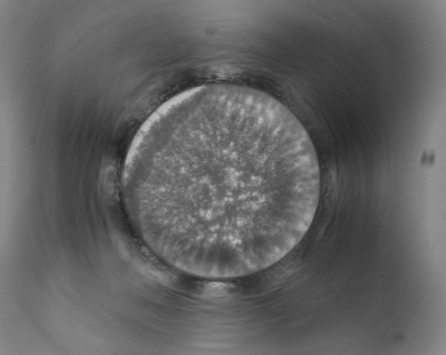 X0000110890222200907301550