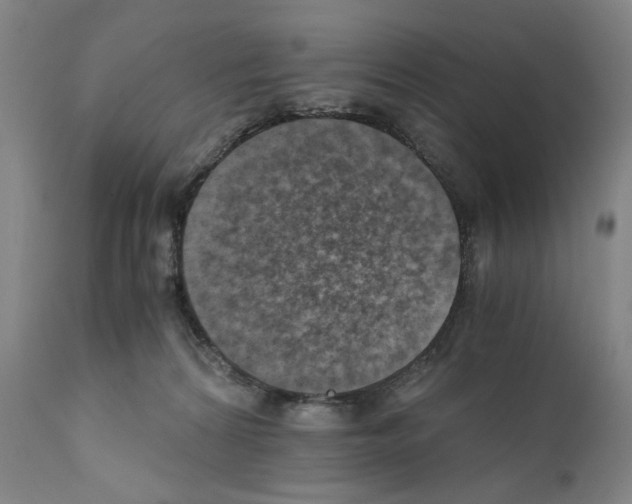 X0000110890224200907301550