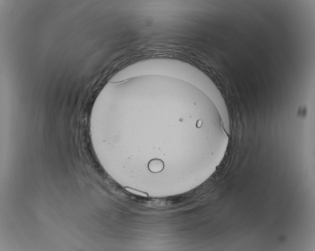 X0000110890225200907301550