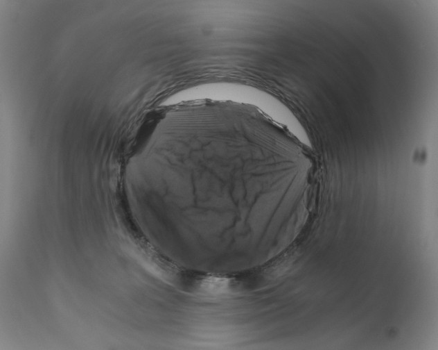 X0000110890227200907301550