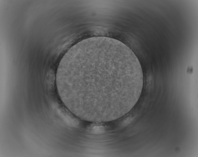 X0000110890228200907301550
