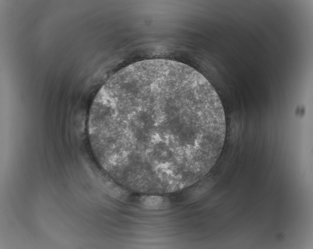 X0000110890230200907301550
