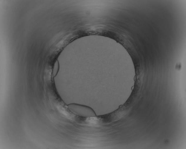 X0000110890231200907301550