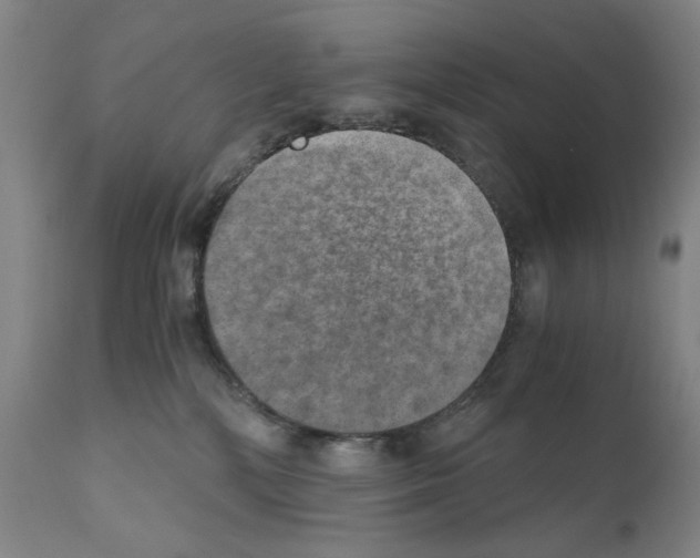 X0000110890232200907301550