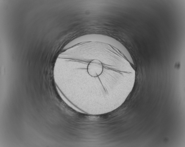 X0000110890233200907301550