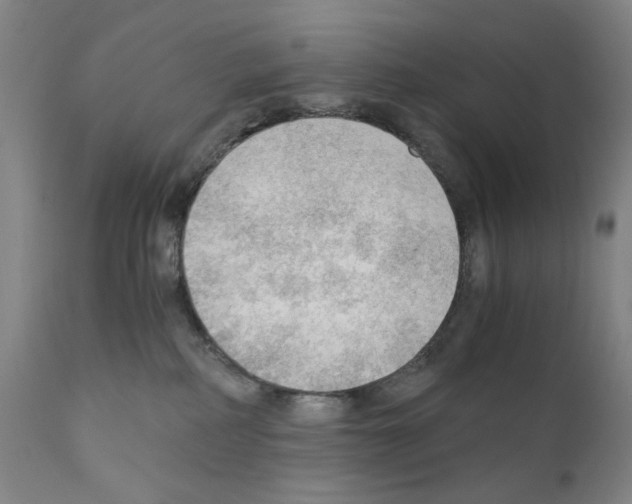 X0000110890234200907301550