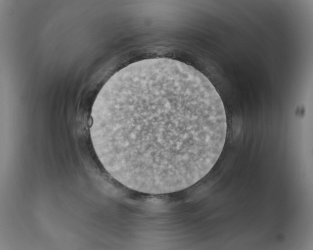 X0000110890236200907301550