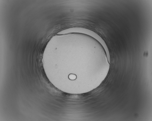 X0000110890237200907301550