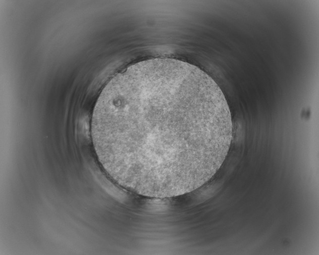 X0000110890238200907301550