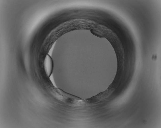 X0000110890239200907301550