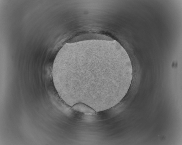 X0000110890240200907301550