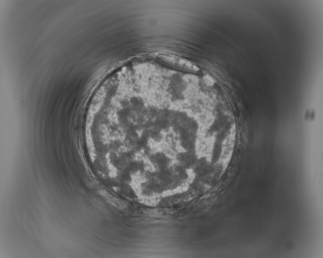 X0000110890241200907301549