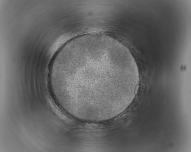 X0000110890242200907301549