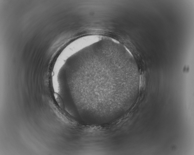 X0000110890243200907301549