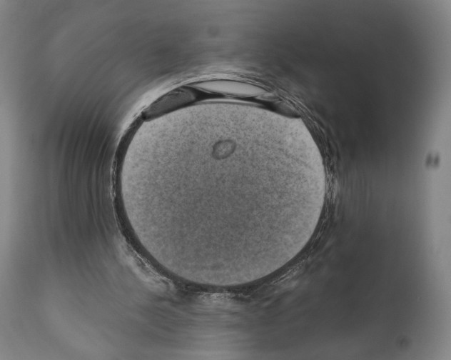 X0000110890244200907301549