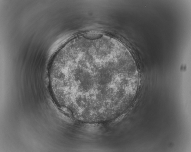 X0000110890245200907301549