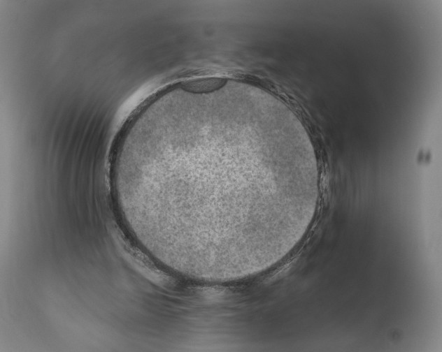 X0000110890246200907301549