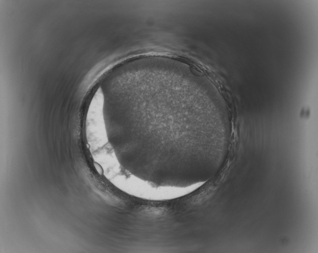 X0000110890247200907301549