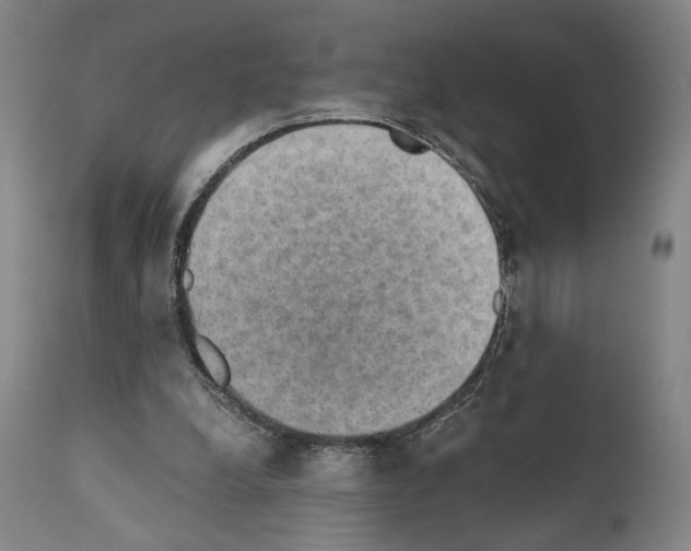 X0000110890248200907301549