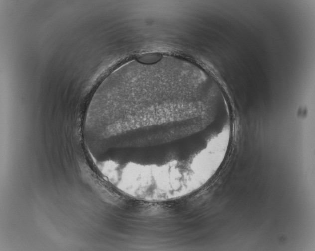 X0000110890249200907301549