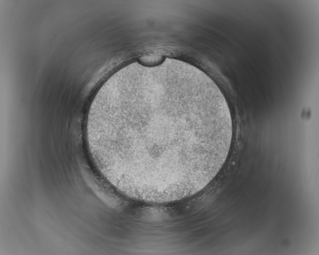 X0000110890250200907301549