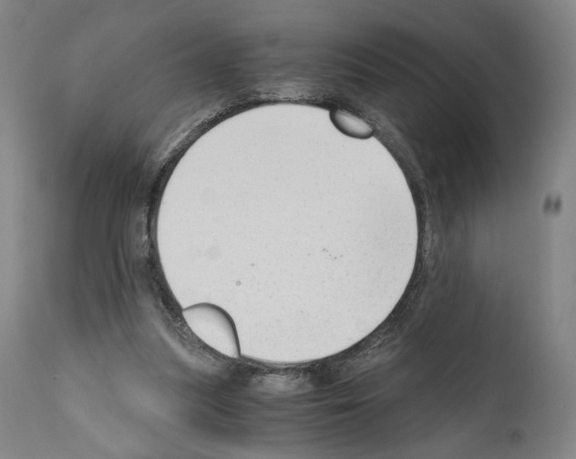 X0000110890251200907301549