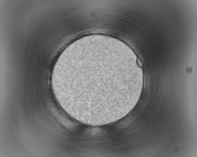 X0000110890253200907301549