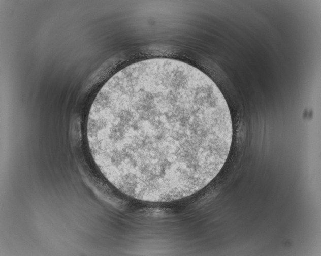 X0000110890254200907301549