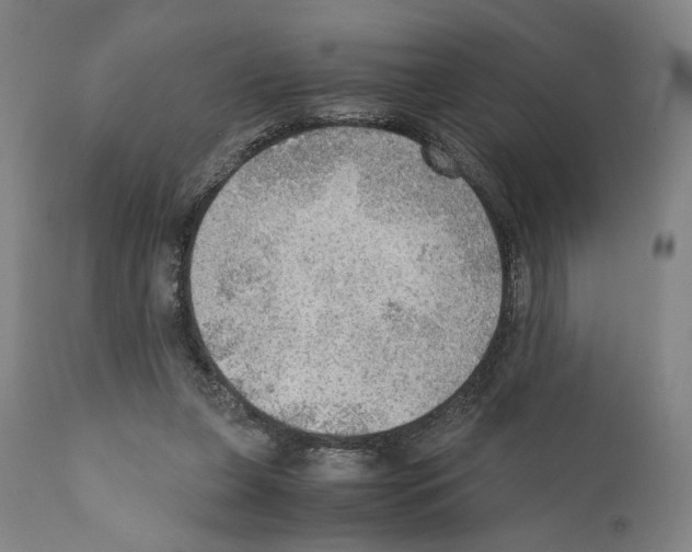 X0000110890255200907301549