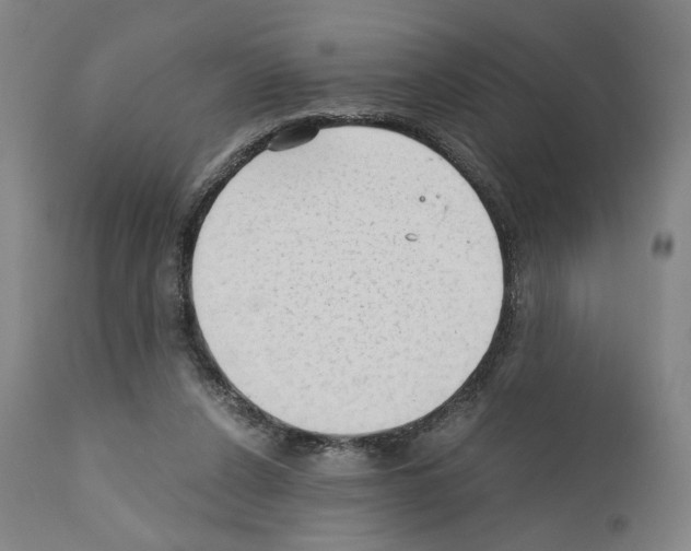 X0000110890256200907301549