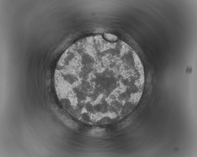 X0000110890257200907301550
