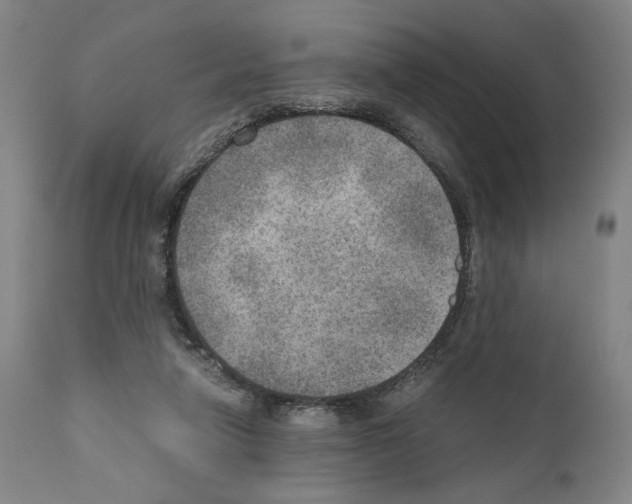 X0000110890258200907301550
