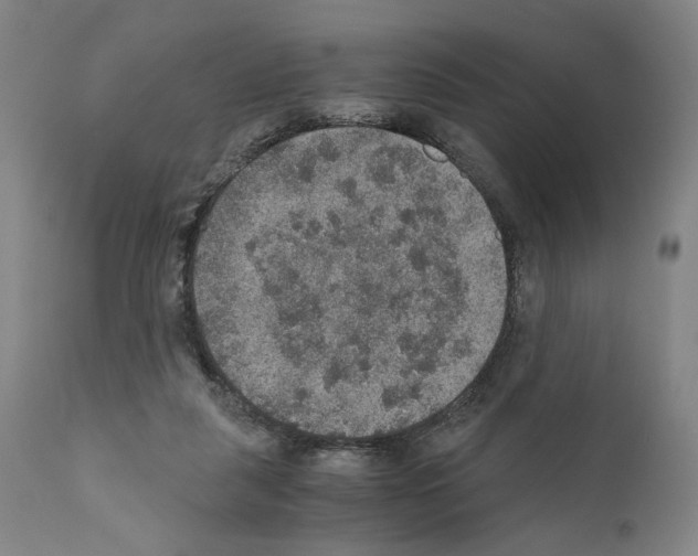X0000110890259200907301550