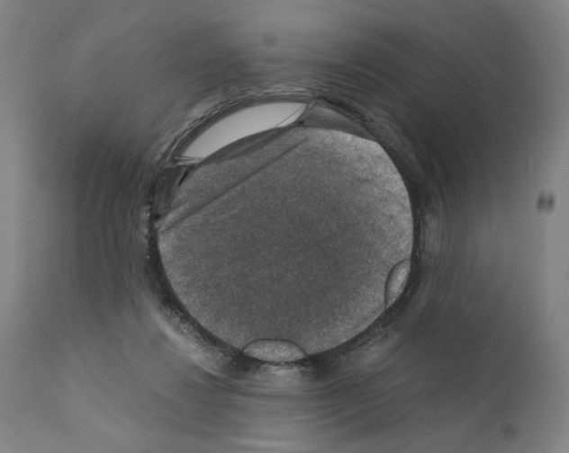 X0000110890260200907301550