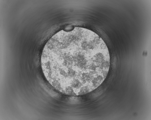 X0000110890261200907301550