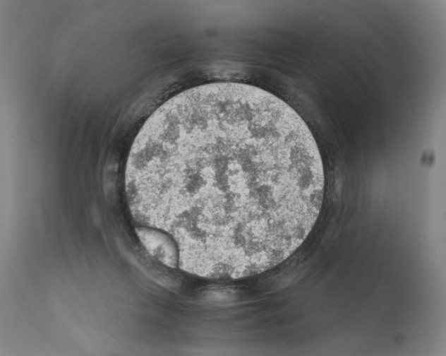 X0000110890263200907301550