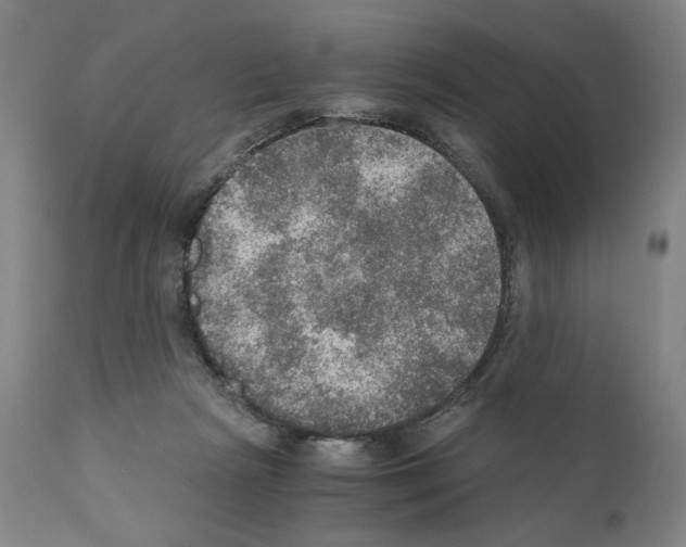 X0000110890265200907301550