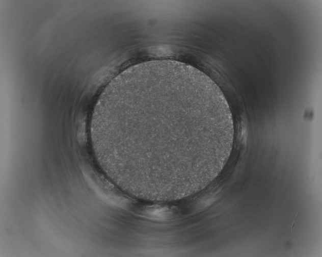 X0000110890267200907301550