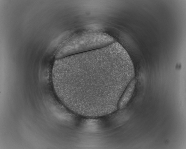 X0000110890268200907301550