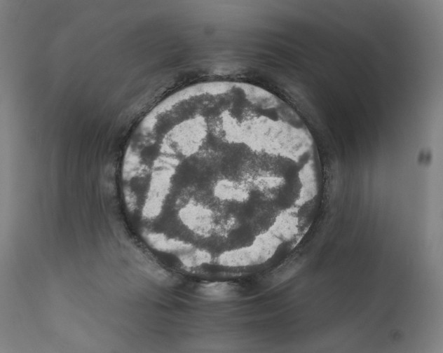 X0000110890269200907301550