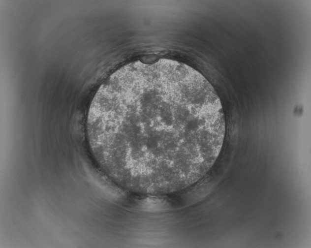 X0000110890270200907301550