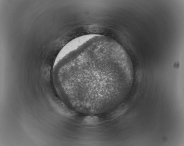 X0000110890271200907301550
