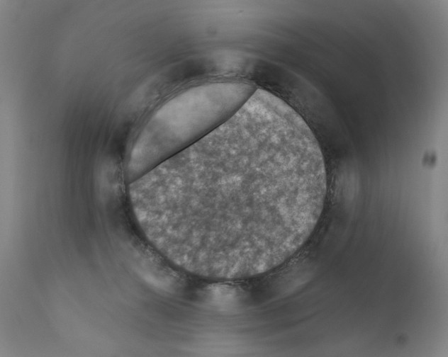 X0000110890272200907301550